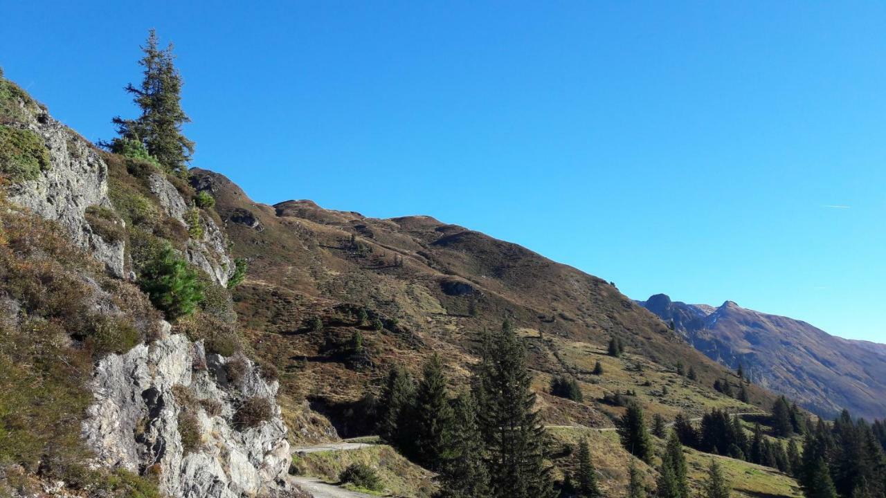 Fewo "Unterm Wald" Stumm Dış mekan fotoğraf