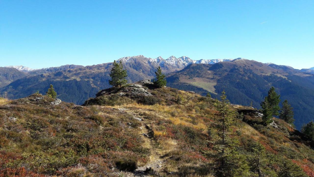 Fewo "Unterm Wald" Stumm Dış mekan fotoğraf
