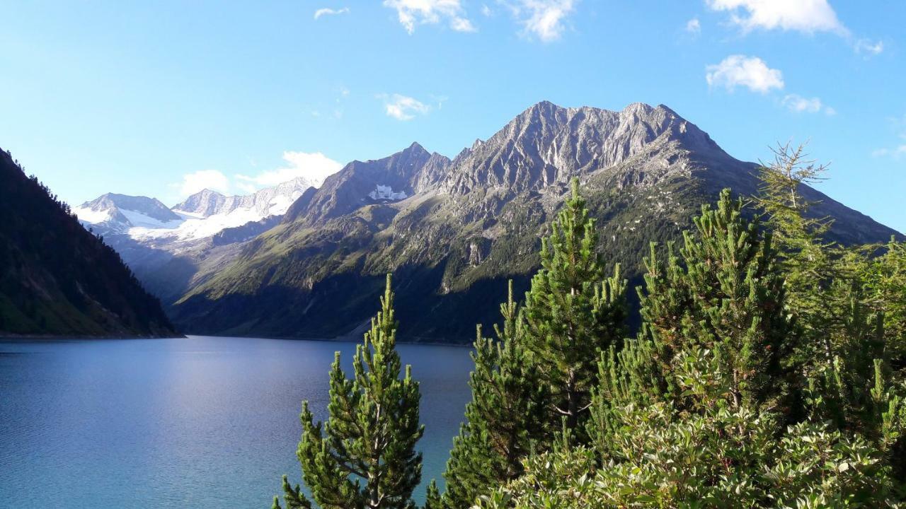 Fewo "Unterm Wald" Stumm Dış mekan fotoğraf