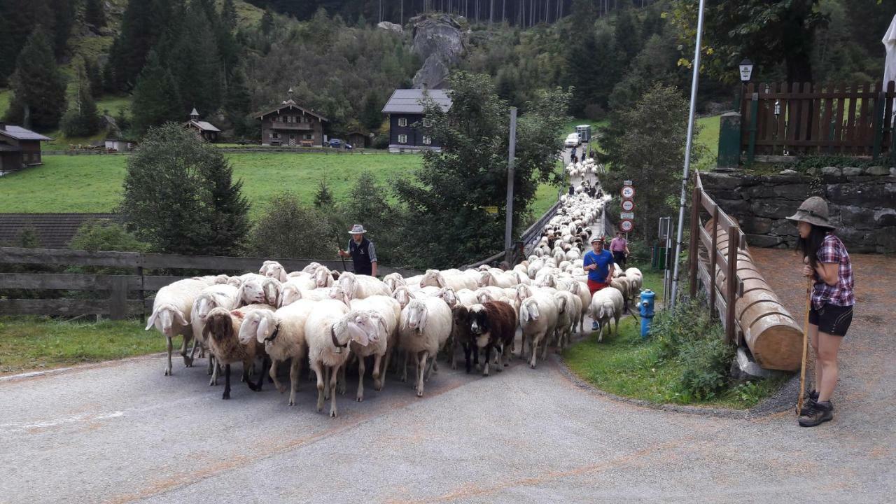 Fewo "Unterm Wald" Stumm Dış mekan fotoğraf